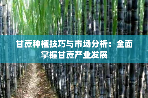 甘蔗种植技巧与市场分析:全面掌握甘蔗产业发展 甘蔗种植技巧与市场分析:全面掌握甘蔗产业发展