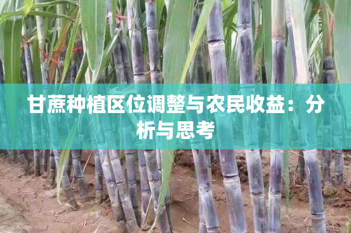 甘蔗种植区位调整与农民收益：分析与思考