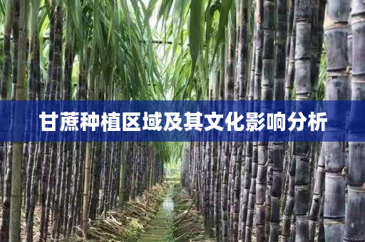 甘蔗种植区域及其文化影响分析