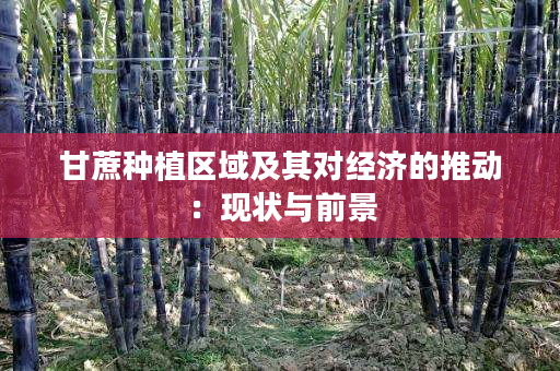甘蔗种植区域及其对经济的推动：现状与前景