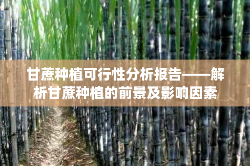 甘蔗种植可行性分析报告——解析甘蔗种植的前景及影响因素