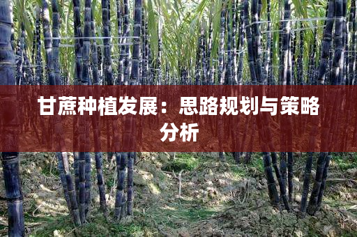甘蔗种植发展：思路规划与策略分析