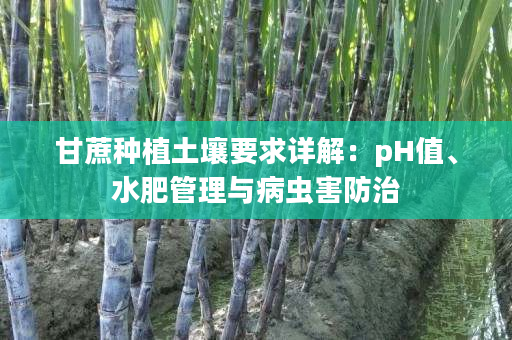 甘蔗种植土壤要求详解：pH值、水肥管理与病虫害防治