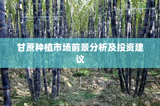 甘蔗种植市场前景分析及投资建议 甘蔗种植市场前景分析及投资建议