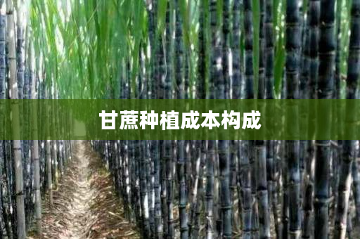 甘蔗种植成本构成 甘蔗种植成本构成
