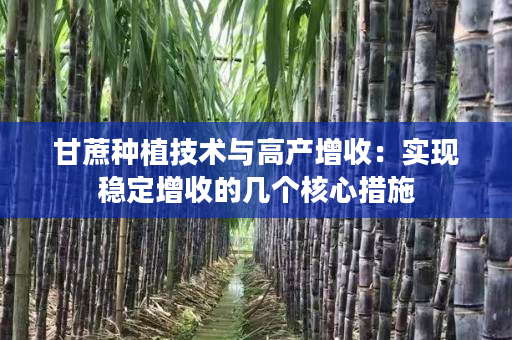 甘蔗种植技术与高产增收:实现稳定增收的几个核心措施 甘蔗种植技术与高产增收:实现稳定增收的几个核心措施