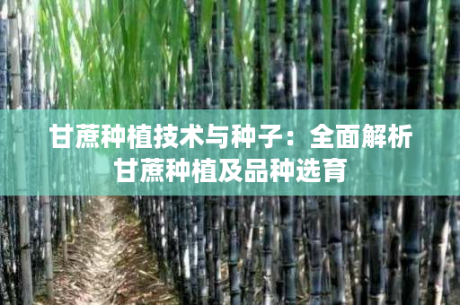 甘蔗种植技术与种子:全面解析甘蔗种植及品种选育 甘蔗种植技术与种子:全面解析甘蔗种植及品种选育