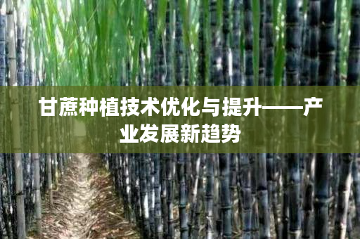 甘蔗种植技术优化与提升——产业发展新趋势