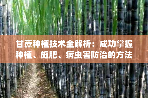 甘蔗种植技术全解析：成功掌握种植、施肥、病虫害防治的方法