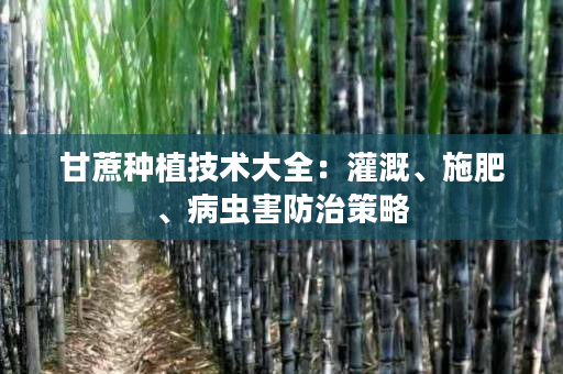 甘蔗种植技术大全：灌溉、施肥、病虫害防治策略