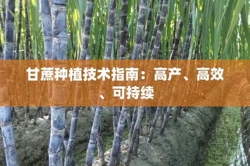 甘蔗种植技术指南:高产、高效、可持续 甘蔗种植技术指南:高产、高效、可持续