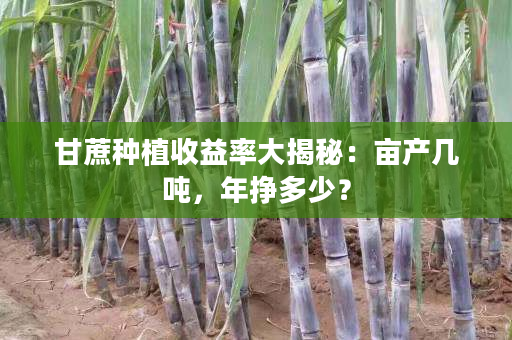 甘蔗种植收益率大揭秘：亩产几吨，年挣多少？