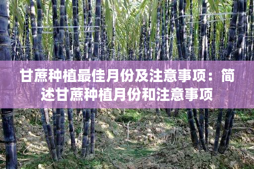 甘蔗种植最佳月份及注意事项:简述甘蔗种植月份和注意事项 甘蔗种植最佳月份及注意事项:简述甘蔗种植月份和注意事项