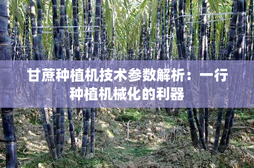 甘蔗种植机技术参数解析:一行种植机械化的利器 甘蔗种植机技术参数解析:一行种植机械化的利器