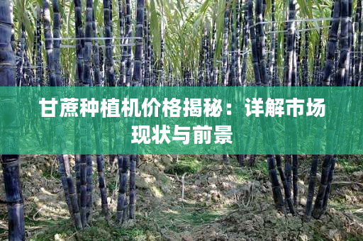 甘蔗种植机价格揭秘:详解市场现状与前景 甘蔗种植机价格揭秘:详解市场现状与前景