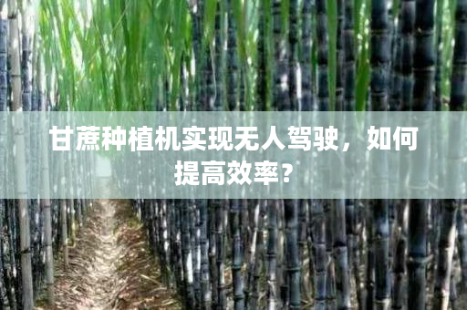 甘蔗种植机实现无人驾驶,如何提高效率? 甘蔗种植机实现无人驾驶,如何提高效率?