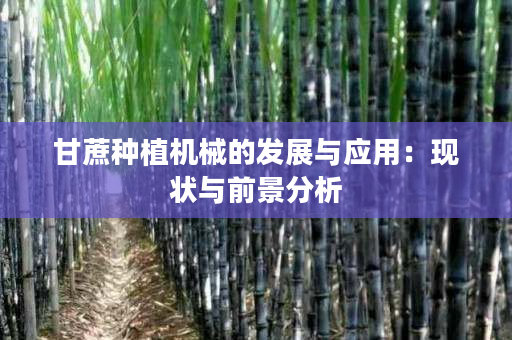 甘蔗种植机械的发展与应用:现状与前景分析 甘蔗种植机械的发展与应用:现状与前景分析