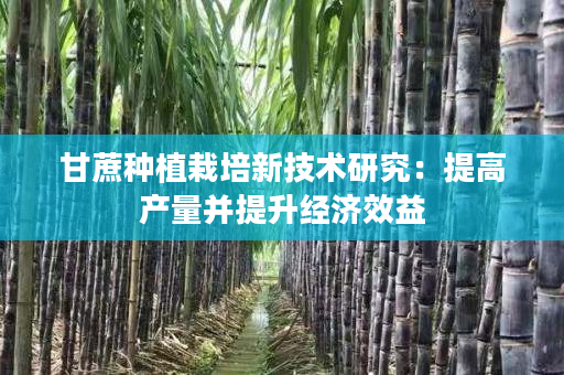 甘蔗种植栽培新技术研究:提高产量并提升经济效益 甘蔗种植栽培新技术研究:提高产量并提升经济效益