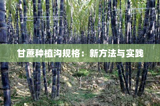 甘蔗种植沟规格:新方法与实践 甘蔗种植沟规格:新方法与实践