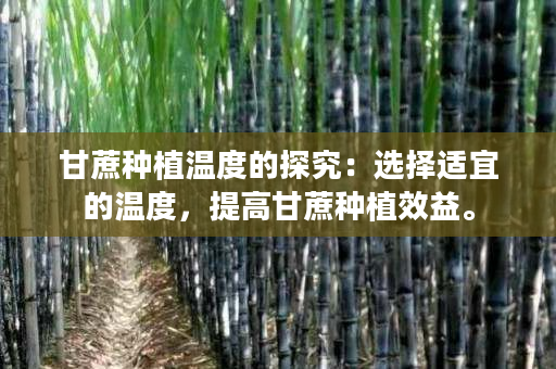 甘蔗种植温度的探究：选择适宜的温度，提高甘蔗种植效益。