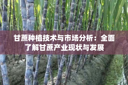 甘蔗种植技术与市场分析:全面了解甘蔗产业现状与发展 甘蔗种植技术与市场分析:全面了解甘蔗产业现状与发展