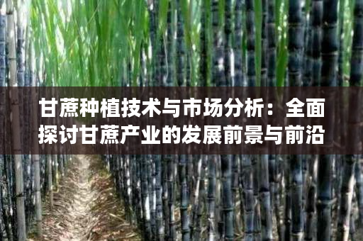 甘蔗种植技术与市场分析:全面探讨甘蔗产业的发展前景与前沿趋势 甘蔗种植技术与市场分析:全面探讨甘蔗产业的发展前景与前沿趋势