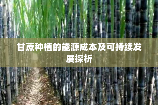 甘蔗种植的能源成本及可持续发展探析 甘蔗种植的能源成本及可持续发展探析