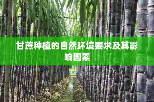 甘蔗种植的自然环境要求及其影响因素