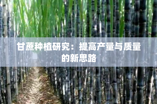 甘蔗种植研究:提高产量与质量的新思路 甘蔗种植研究:提高产量与质量的新思路