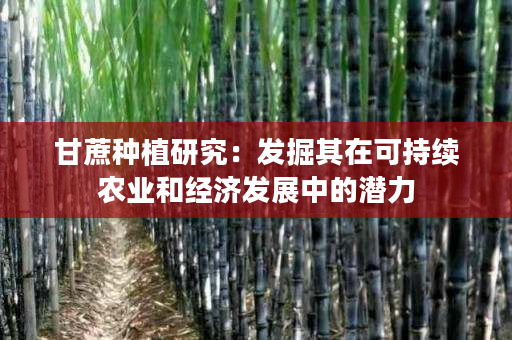 甘蔗种植研究:发掘其在可持续农业和经济发展中的潜力 甘蔗种植研究:发掘其在可持续农业和经济发展中的潜力