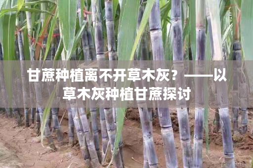 甘蔗种植离不开草木灰？——以草木灰种植甘蔗探讨