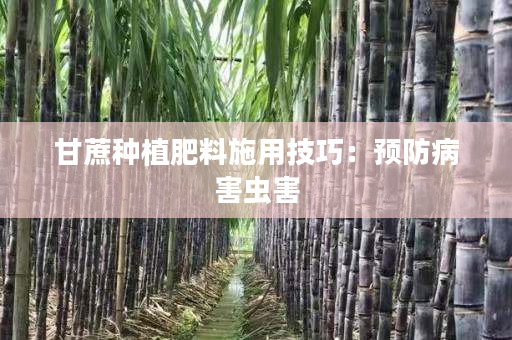 甘蔗种植肥料施用技巧：预防病害虫害