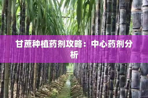 甘蔗种植药剂攻略:中心药剂分析 甘蔗种植药剂攻略:中心药剂分析