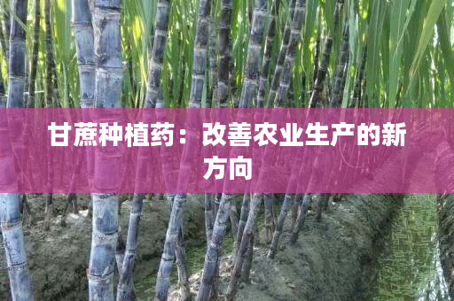 甘蔗种植药:改善农业生产的新方向 甘蔗种植药:改善农业生产的新方向