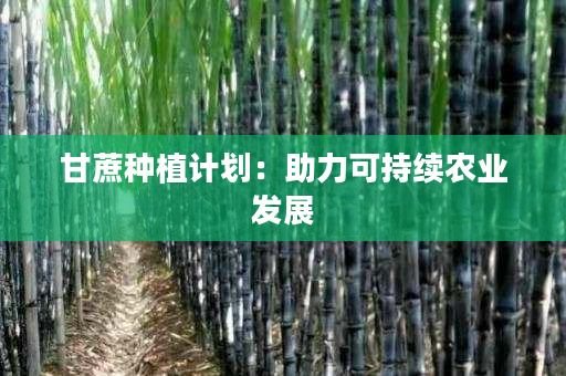 甘蔗种植计划:助力可持续农业发展 甘蔗种植计划:助力可持续农业发展