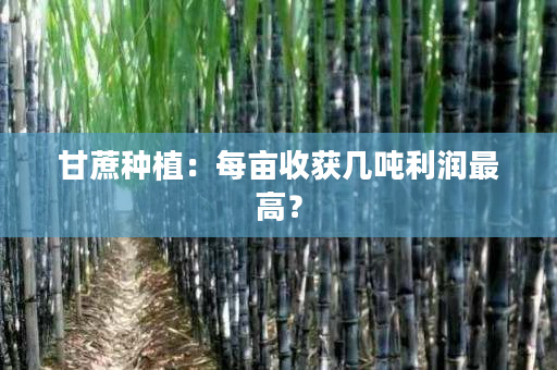 甘蔗种植：每亩收获几吨利润最高？