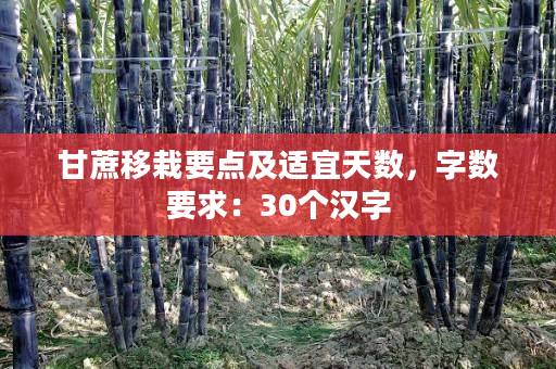 甘蔗移栽要点及适宜天数，字数要求：30个汉字
