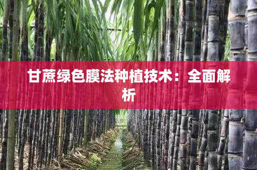 甘蔗绿色膜法种植技术：全面解析