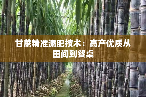 甘蔗精准添肥技术:高产优质从田间到餐桌 甘蔗精准添肥技术:高产优质从田间到餐桌