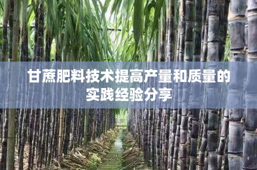 甘蔗肥料技术提高产量和质量的实践经验分享