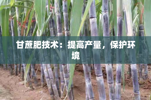 甘蔗肥技术：提高产量，保护环境