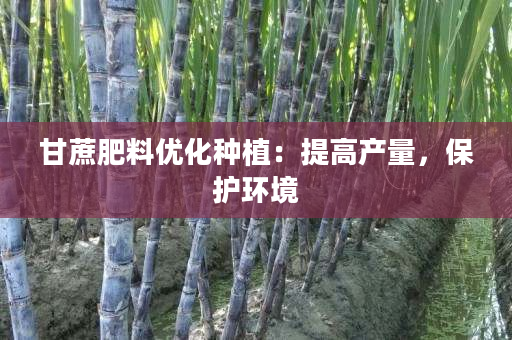 甘蔗肥料优化种植：提高产量，保护环境