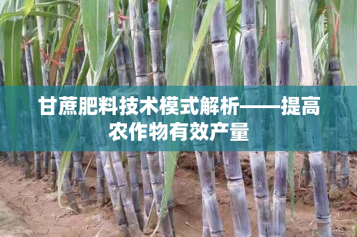 甘蔗肥料技术模式解析——提高农作物有效产量
