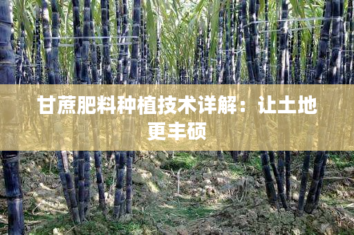 甘蔗肥料种植技术详解：让土地更丰硕