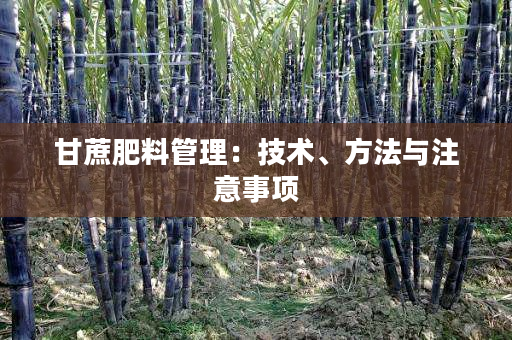 甘蔗肥料管理：技术、方法与注意事项