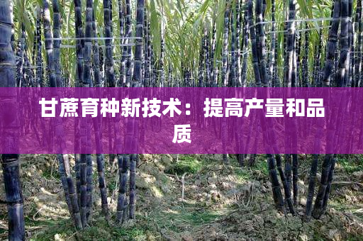 甘蔗育种新技术：提高产量和品质