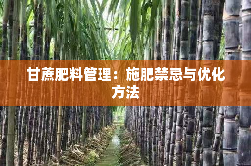甘蔗肥料管理：施肥禁忌与优化方法