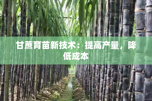 甘蔗育苗新技术：提高产量，降低成本
