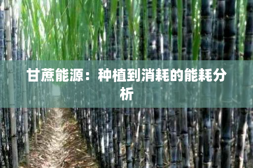 甘蔗能源:种植到消耗的能耗分析 甘蔗能源:种植到消耗的能耗分析
