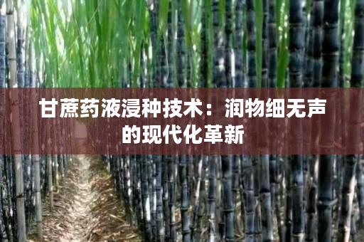 甘蔗药液浸种技术:润物细无声的现代化革新 甘蔗药液浸种技术:润物细无声的现代化革新